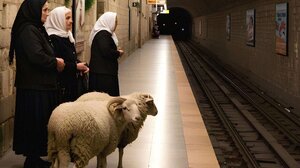 Η Δημιουργική Ομάδα Μαργαριτών παρουσιάζει την παράσταση "Σε αναμονή"