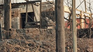 Πυρκαγιά στη Χίο: Καμένοι πάνω από 150 στύλοι ηλεκτροδότησης - Χωρίς ρεύμα αρκετά χωριά