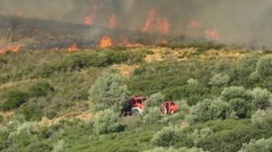 Θεσσαλονίκη: Άναψε φωτιά με τις… μέλισσες και βρέθηκε με χειροπέδες!