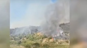 Φωτιά στην Αλβανία: Νεκρός 80χρονος - Εκτός ελέγχου τα μέτωπα λόγω ανέμων και υψηλών θερμοκρασιών