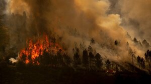 Ισπανία: Μάχη με «πύρινους στροβίλους» δίνουν οι πυροσβεστικές δυνάμεις