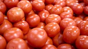  Η ντομάτα ήταν η γιαγιά της... πατάτας!