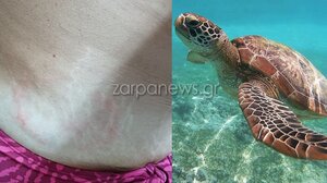 Νέο περιστατικό με χελώνα στο Μαράθι