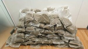 Συνελήφθησαν δύο άτομα που εισήγαγαν, μέσω ταχυδρομικού δέματος, 62 κιλά κάνναβης