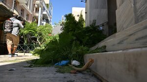 Πτώση δέντρου στο κέντρο της Αθήνας – Δύο τραυματίες