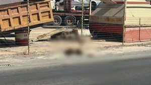 “Το νεκρό ζώο είναι μέρες στην άκρη του δρόμου και δεν ενδιαφέρεται κανείς”