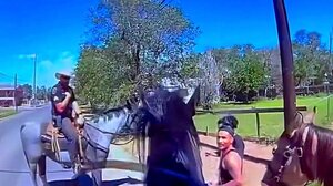 Ύποπτος για ναρκωτικά προδίδεται από άλογο με σούπερ δυνάμεις!