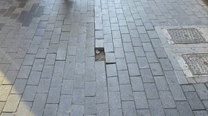 Μια "παγίδα" στην πολυσύχναστη Δαιδάλου 