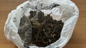 Τον έπιασαν την ώρα που έκρυβε τα ναρκωτικά στον κάδο απορριμμάτων