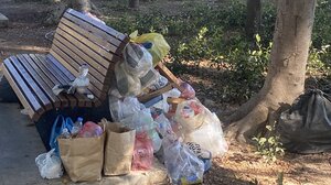 Μια αποκαρδιωτική εικόνα στο πάρκο Γεωργιάδη