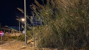  "Από πού πάμε για Ηράκλειο; Η πινακίδα χάθηκε μέσα στις καλαμιές!"