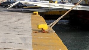 Συνελήφθησαν ο πλοίαρχος και ο Α' μηχανικός του Blue Star Χίος για τον θάνατο του 20χρονου Τάσου