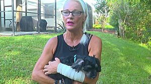 Έσωσε το σκύλο της από τα δόντια αλιγάτορα