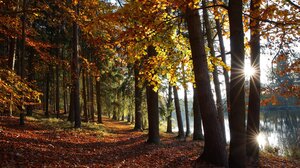 Καιρός: Hλιοφάνεια στο μεγαλύτερο μέρος της χώρας