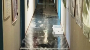 Βόλος: Πλημμύρισε η Γεωπονική Σχολή – Ζημιές σε εργαστήρια και μηχανήματα