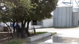 Κρούσματα ευλογιάς και σε δεύτερη κτηνοτροφική μονάδα στα Γρεβενά