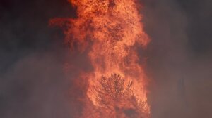 Φωτιά στις Μαλάδες: Εγκάρδιες ευχαριστίες για την αποτροπή της καταστροφής