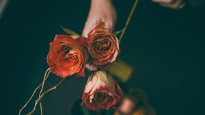 Εορτολόγιο: Ποιοι γιορτάζουν σήμερα 9 Οκτωβρίου