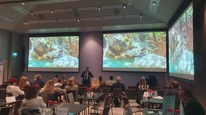 Στρατηγική ενίσχυση της τουριστικής αγοράς της Σκανδιναβίας από την Περιφέρεια Κρήτης