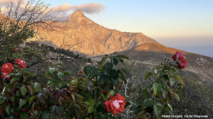 Ξεκινούν οι επιμορφωτικές δράσεις στα Αστερούσια