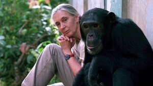 Πέθανε η Τζέιν Γκούντολ, η ερευνήτρια που έζησε με τους χιμπατζήδες