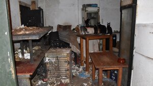 Στη φυλακή ο βασανιστής ζώων της Δονούσας