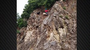 Ευρυτανία: Κατσίκες διασώθηκαν με τη συνδρομή διασωστών και πυροσβεστών