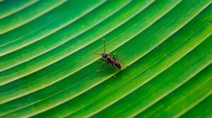 Πώς να κάνετε τα διπλάσια σε μισό χρόνο: η τέχνη διαχείρισης του χρόνου