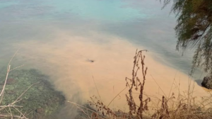 "Κοκκίνισε" η θάλασσα στο Κουμ Καπί