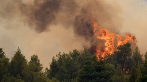 Το νέο μοντέλο πρόληψης πυρκαγιών και διαχείρισης της καύσιμης ύλης – Πώς θα εφαρμοστεί