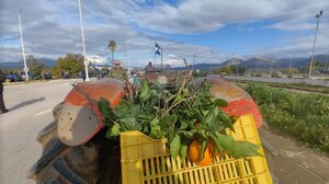 Συμβολικός αποκλεισμός της Αντιπεριφέρειας Καβάλας από αγρότες και κτηνοτρόφους - Πέταξαν αγροτικά προϊόντα