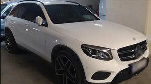 Συνελήφθησαν τρία αδέλφια για εμπόριο "μαϊμούδων" με τζίρο σχεδόν μισού εκατομμυρίου