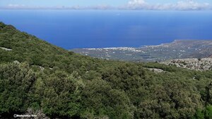 Οι Δρόμοι Ζωής σε 2000 στρέμματα δάσους!