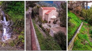 Εξόρμηση σε ένα δασάκι... κόσμημα για τους Δρόμους Ζωής