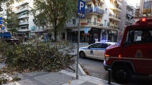 Θεσσαλονίκη: Πτώσεις δέντρων και δεκάδες κλήσεις για βοήθεια από τους ισχυρούς ανέμους