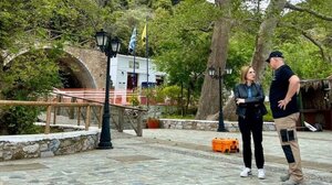 Έλεγχος ασφάλειας και περιορισμός της επικινδυνότητας των δέντρων στην Κρήτη