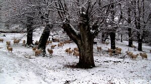 Χειμώνας στην Κρήτη: Ζεστές εμπειρίες σε κρύο φόντο