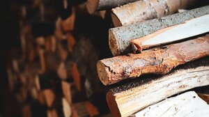 Παραλαβή δωρεάν ξυλείας από τον Δήμο Αγίου Νικολάου