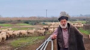 Κατέρρευσε ο κτηνοτρόφος που αποχαιρέτησε με δάκρυα τα πρόβατά του - Στο νοσοκομείο με συμπτώματα εγκεφαλικού