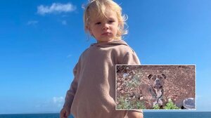 Ζάκυνθος: «Κυνηγοί τρόμαξαν το πίτμπουλ που επιτέθηκε και σκότωσε τον 2χρονο» 