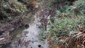 Λύματα δίπλα σε χώρο όπου αθλούνται παιδιά!