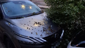 Τα πήρε και τα σήκωσε ο ξαφνικός ... ανεμοστρόβιλος στο Ηράκλειο! (photo)