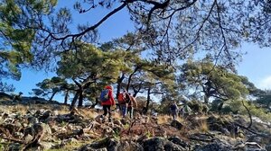 Χριστουγεννιάτικη πεζοπορία στο μαγευτικό δάσος του Κρούστα από τον Ορειβατικό Σύλλογο Αγίου Νικολάου