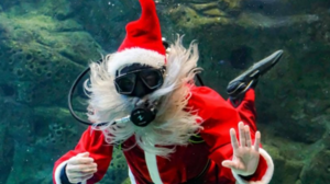 Χριστούγεννα στον βυθό του Ενυδρείου - Εντυπωσιακή κατάδυση του Αγίου Βασίλη 