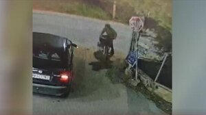 Κρήτη: Η Λάιλα έγινε «ασπίδα» για να σώσει το αφεντικό της - Η συγκινητική αυτοθυσία σκυλίτσας - Βίντεο