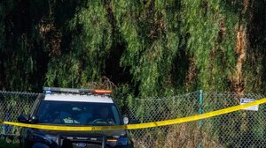 Φλόριντα: Ανήλικοι παρέσυραν 14χρονη στο δάσος, την πυροβόλησαν και την έκαψαν