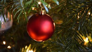 "Τα δέντρα της αγάπης": μια συγκινητική εκδήλωση στο Γάζι