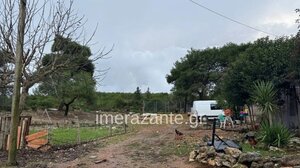 Τραγωδία στη Ζάκυνθο: Κλιμάκιο από την Πάτρα θα αποφασίσει αν θα θανατωθεί το πιτ μπουλ που κατασπάραξε τον δίχρονο