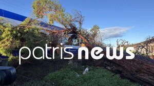 Δέντρο καταπλάκωσε τρένο στη γραμμή Πύργος – Κατάκολο: Στο νοσοκομείο ο μηχανοδηγός