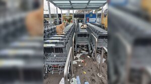 Τα καρότσια στο σούπερ μάρκετ, οι γάτες και τα ερωτήματα